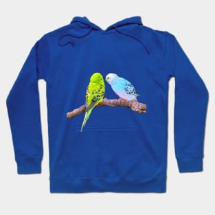 Cute budgie couple Hoodie